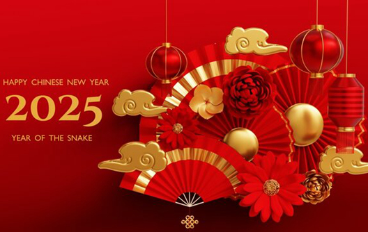 Aviso de feriado do Ano Novo Chinês 2025