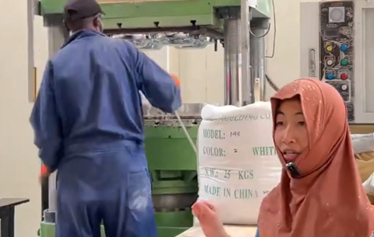 Prensa de alta velocidade de 300 toneladas para impressão em uma única cor de pratos e tigelas.